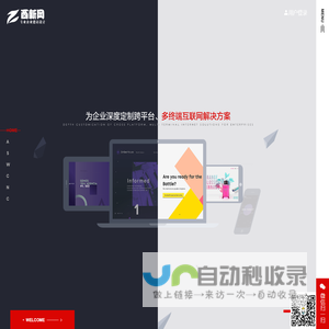 西新网 - 专业网站设计
